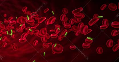 Red blood cells animation in an artery near virus and bacteria, flow inside body, human health-care