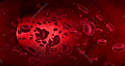 Red blood cells animation in an artery, flow inside body, human health-care