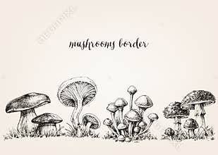 Cute mushrooms drawing