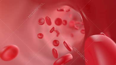 Blood flowing through the arteries