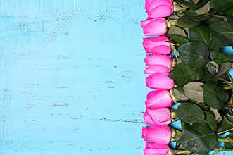 Vintage aqua blue wood background with pink rose buds.