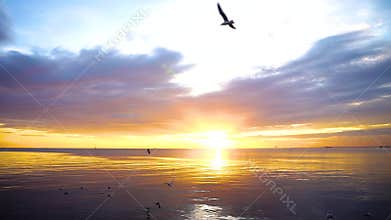 Tranquil scene cloudy sea sunset with seagulls flying and floating on the water at sunset.