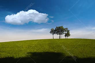 Summer, trees, hill and blue sky