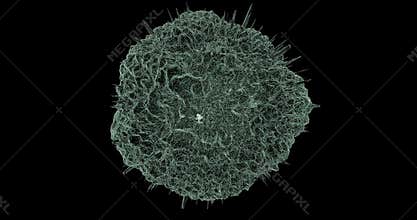 Microscope view of virus rotating