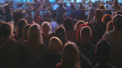 Silhouettes of crowd watching concert on stadium at night