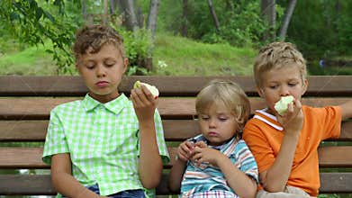 Brothers eating apples on the bench