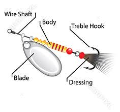 Spinner fishing lure silver blade vector