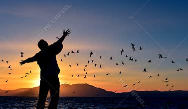 Man and birds