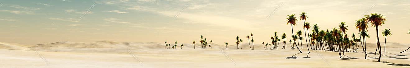 Desert and palm trees.