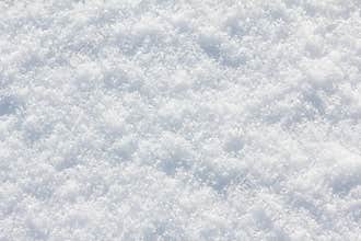 Snow background white in winter day. Season of Cold weather, texture abstract.
