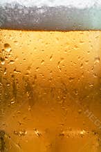 Beer Macro
