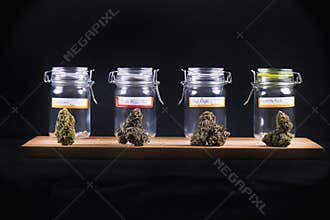 Assorted cannabis bud strains and glass jars - medical marijuana