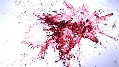 Glass of Red Wibe Falling, Breaking and Splashing against White Background,