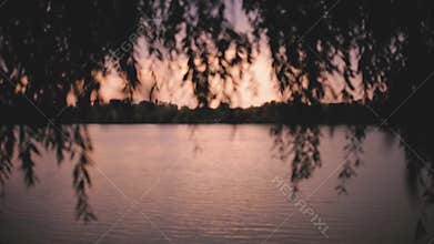 A beautiful southern sunset , river Bank with trees