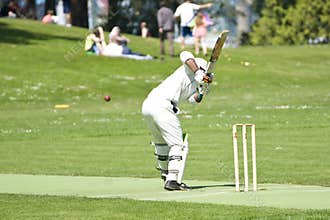 Cricket Player Batsman