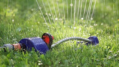 Lawn sprinkler spaying water over green grass.