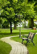 Bench in park