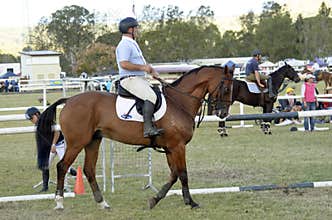 Competitive show horse and rider Queensland country Australia