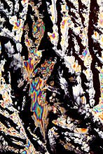 Crystals of Citric Acid