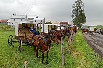 Amish Benefit Auction in Pennsylvania