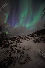 Amazing multicolored Aurora Borealis also know as Northern Lights in the night sky over Lofoten landscape, Norway, Scandinavia.
