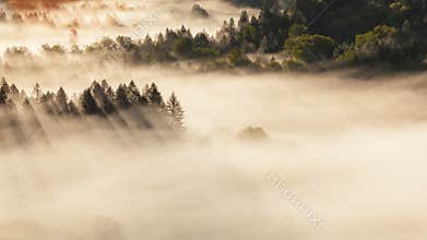 Time lapse of low moving fog with sun rays over Sandy River at Sunrise in Oregon 4k