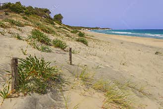 The most beautiful sandy beaches of Apulia.Salento coast: Alimini beach,ITALY Lecce .