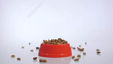 Pet foods dropping slow motion in red bowl