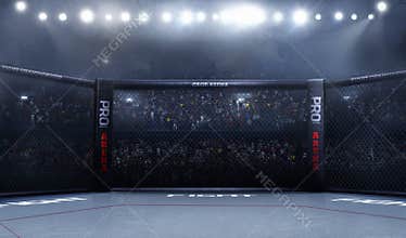 Empty mma arena side view under lights. complete tribune.