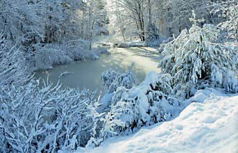 A Winter Wonderland - Harrison, Maine on November 26, 2014