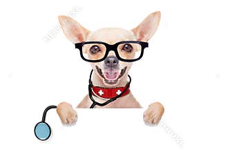 Medical doctor dog