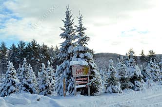 Abandoned Snow covered Cristmas tree Farm in Winter forest Wonderland in Bridgton, Maine Dec. 2014 by Eric L. Johnson Photography