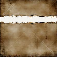 Ripped Torn Grunge Paper