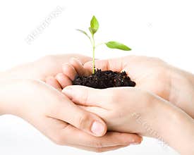 Transplant of a tree female and childrens hands