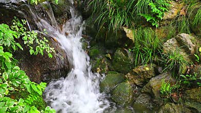 Waterfall in spring garden