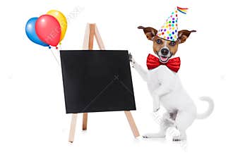 Happy birthday dog