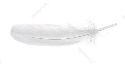 Feather