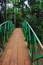 Wood footbridge
