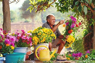Old Spanish farmer making country flower arrangements