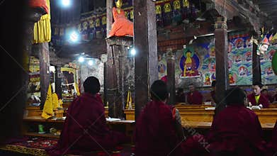 Daily puja with young buddhist monks
