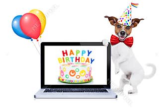 Happy birthday dog