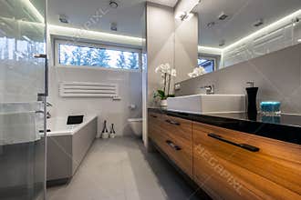 Modern luxury bathroom