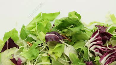 Salad vegetable tracking pack