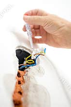 Hand of an electrician checking the presence of electrical current