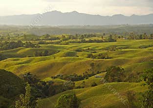 Green hills