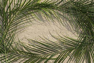 Palms on sand for Palm Sunday