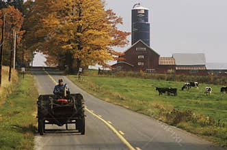 Tractor on farm road with barn and silo in background in autumn, VT