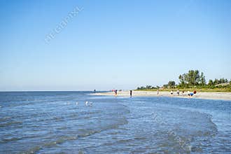 People Collecting Seashells on a Beach #1