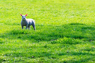 Springtime!