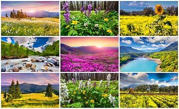 Collage with 9 colorful summer landscapes.